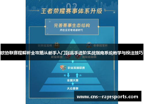 欧协联赛程解析全攻略从新手入门到高手进阶实战指南系统教学与投注技巧