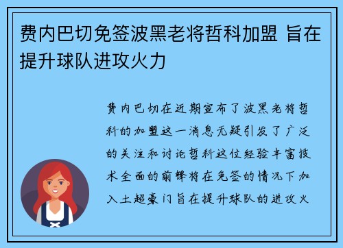 费内巴切免签波黑老将哲科加盟 旨在提升球队进攻火力 费内巴切免签波黑老将哲科加盟 旨在提升球队进攻火力